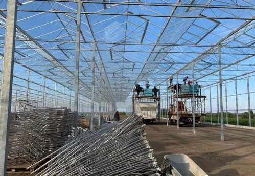 投資現(xiàn)代化智能玻璃溫室大棚的造價與設(shè)計要點