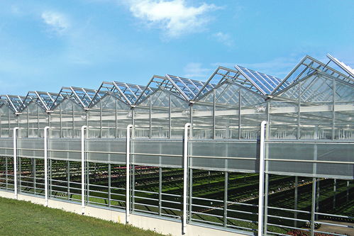 溫室的主要類型、材料選擇及配套設施設計概述