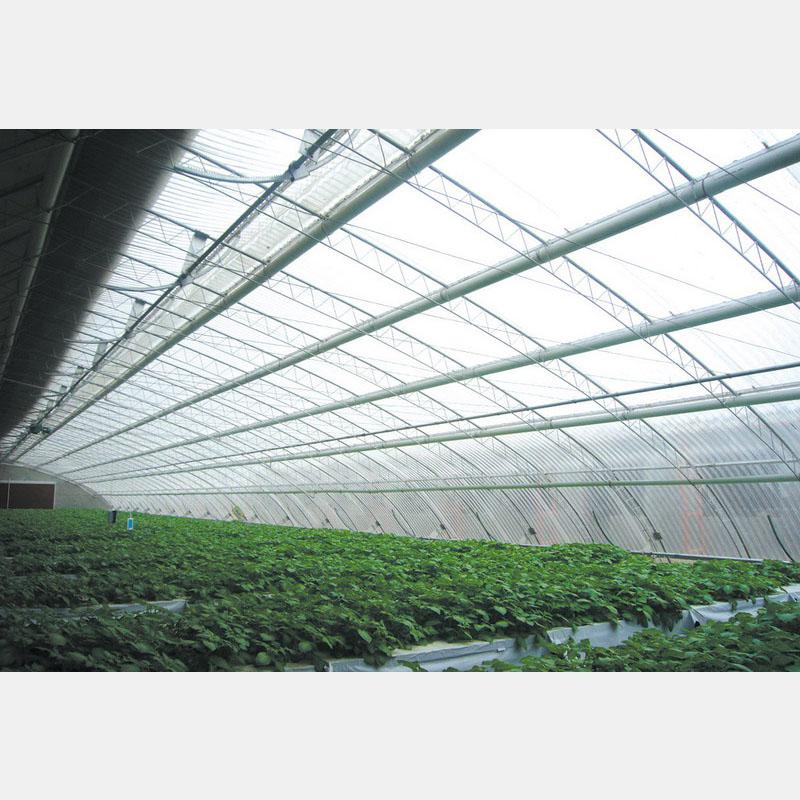 專業(yè)構(gòu)筑，智慧生長 盛騰溫室引領(lǐng)蔬菜大棚現(xiàn)代化建造新風(fēng)尚